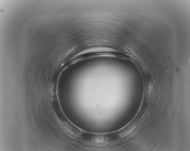 X0000060750264200511171130