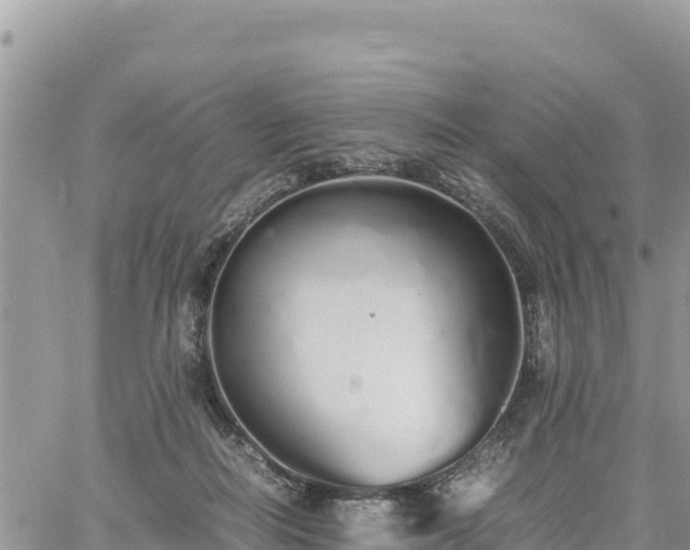 X0000060750266200511171130