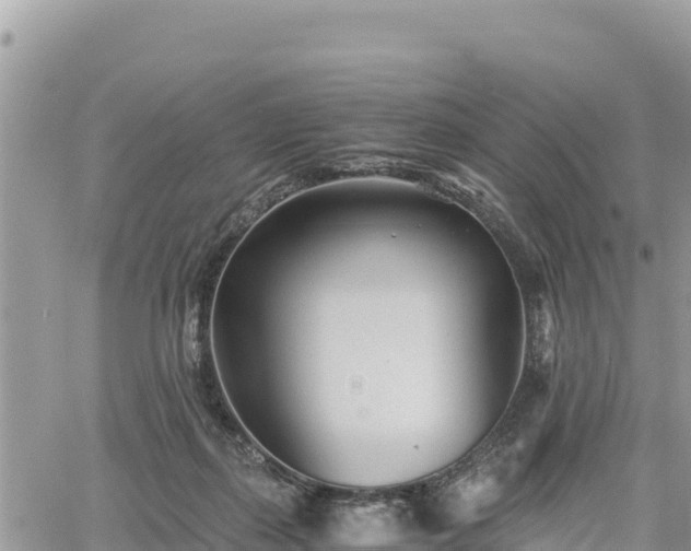 X0000060750267200511171130