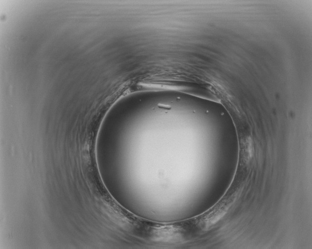 X0000060750269200511171130