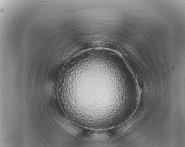 X0000060750270200511171130