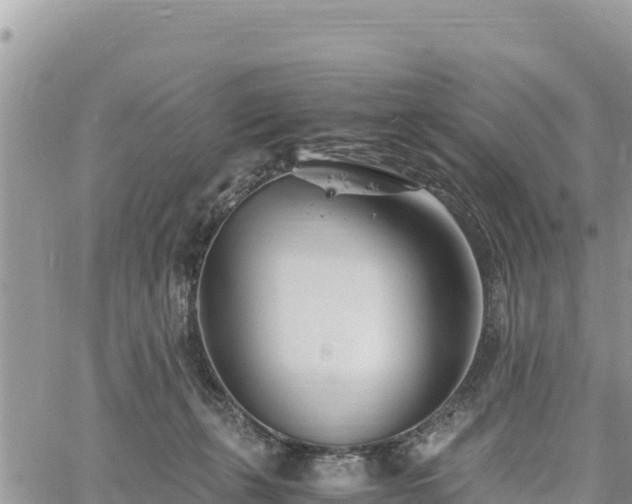 X0000060750271200511171130