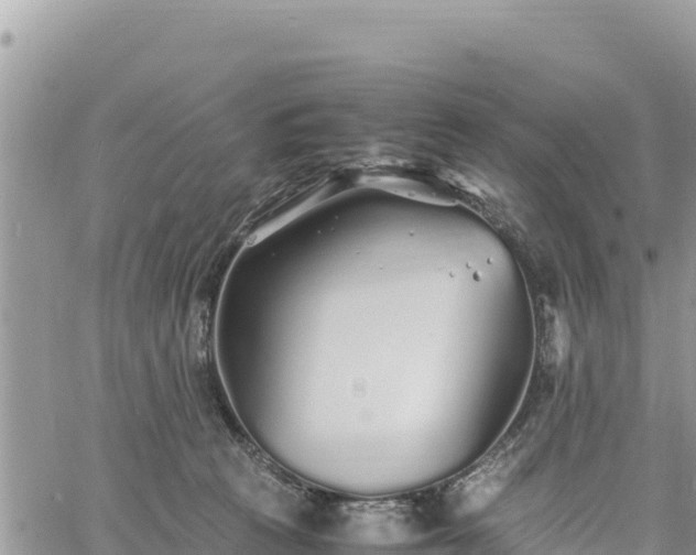 X0000060750273200511171130