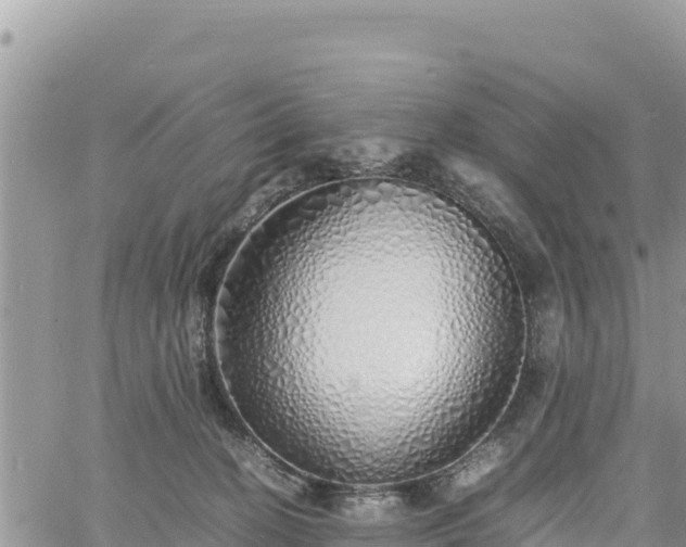 X0000060750274200511171130