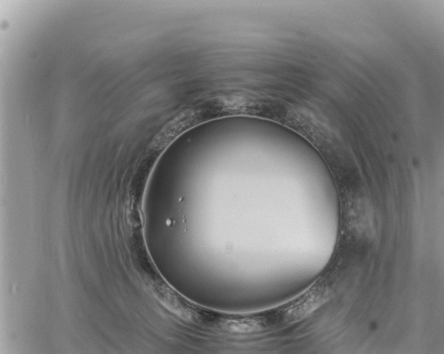 X0000060750275200511171130