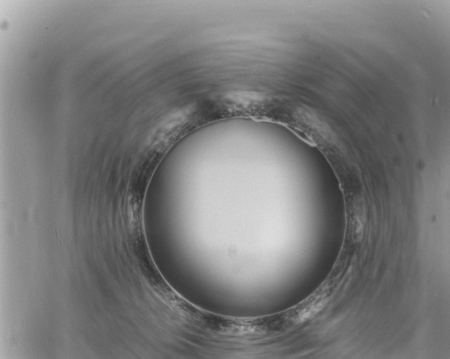 X0000060750276200511171130