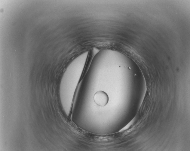 X0000060750277200511171130