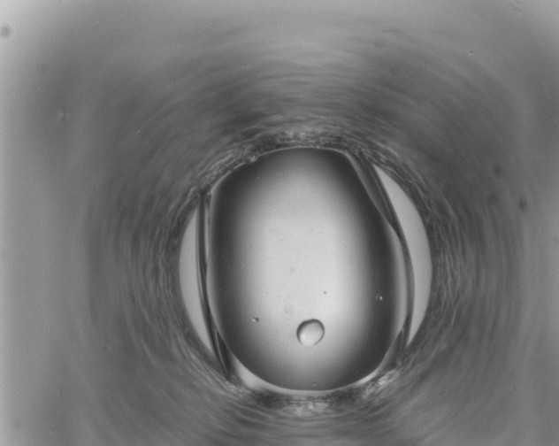 X0000060750278200511171130