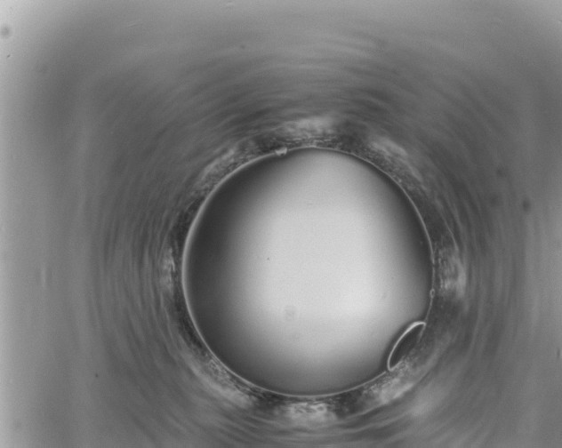 X0000060750279200511171130