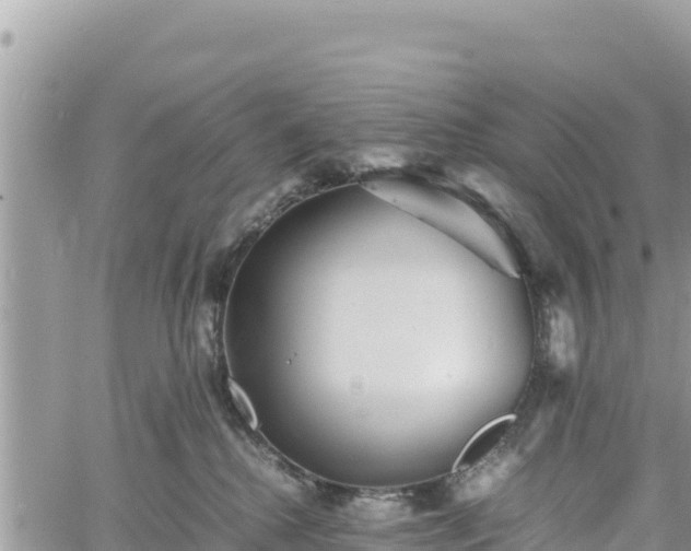 X0000060750280200511171130