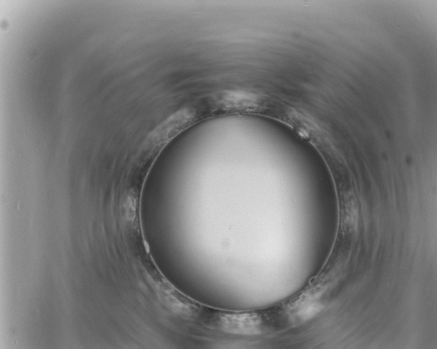 X0000060750281200511171130