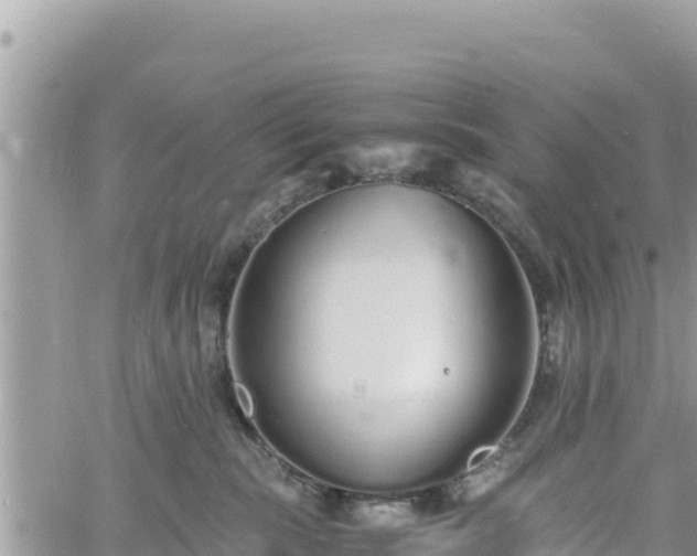 X0000060750283200511171130