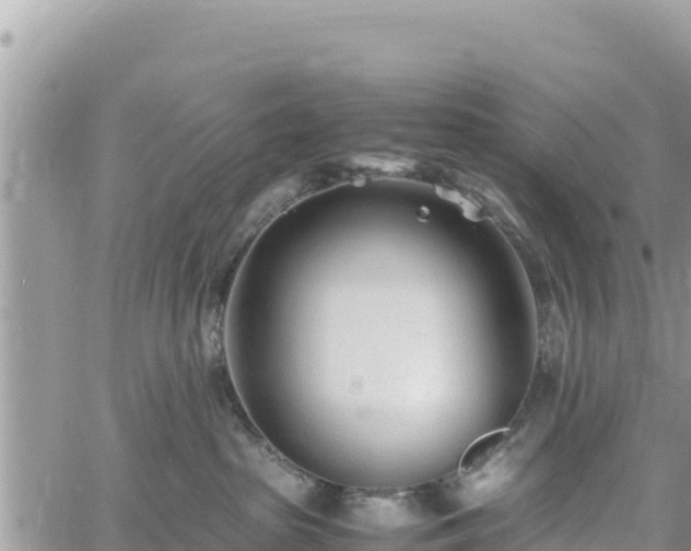 X0000060750285200511171130