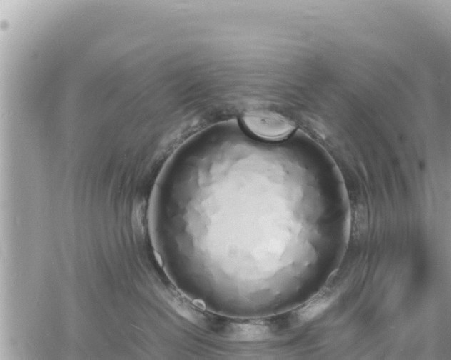 X0000060750286200511171130