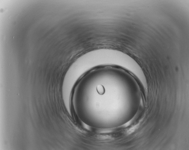 X0000060750287200511171130