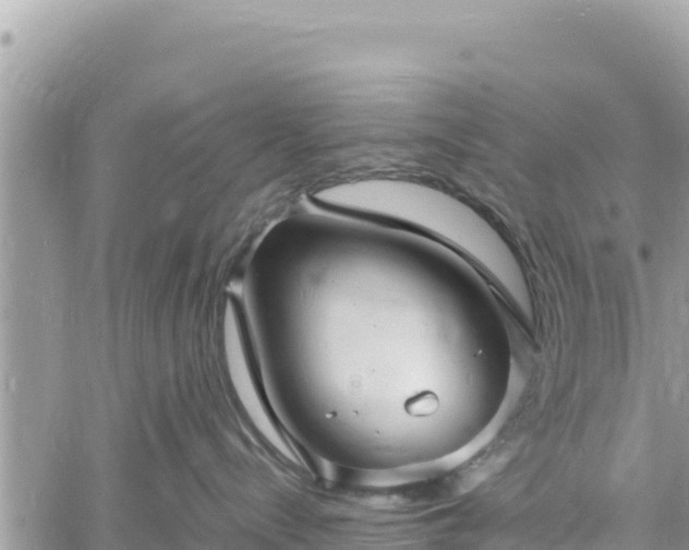 X0000060750288200511171130