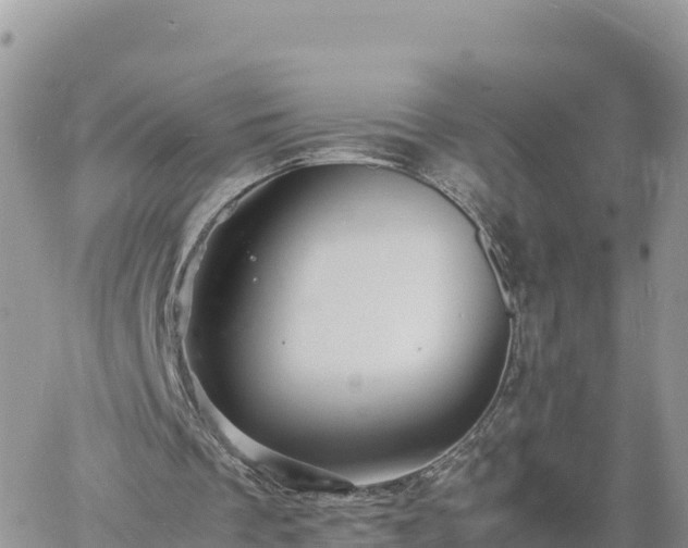 X0000060750289200511171130