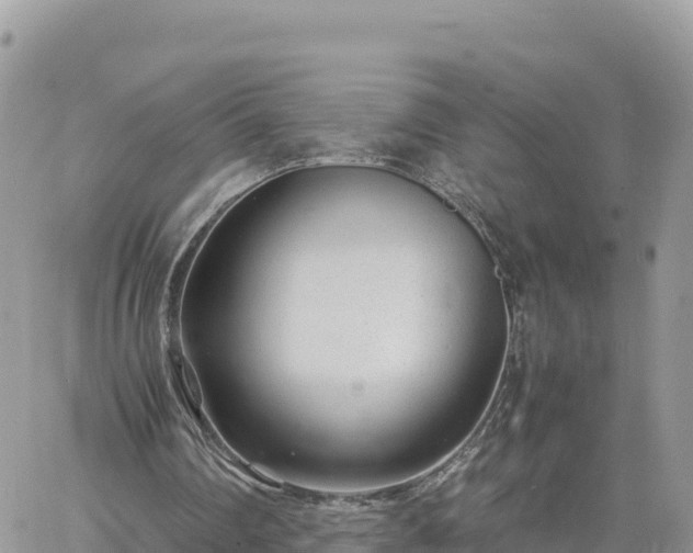 X0000060750290200511171130