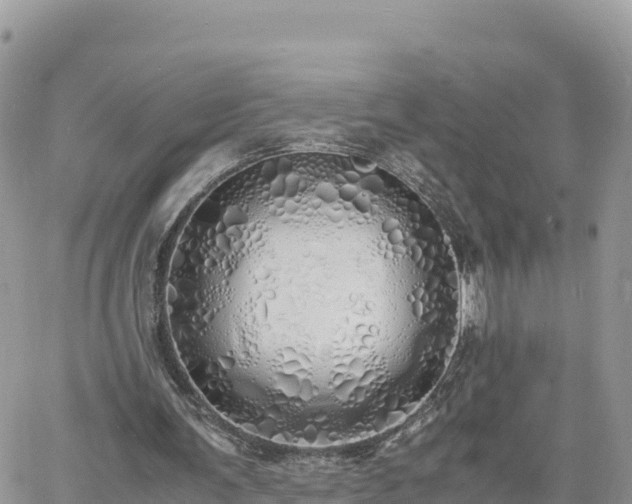 X0000060750291200511171130