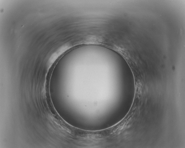 X0000060750292200511171129