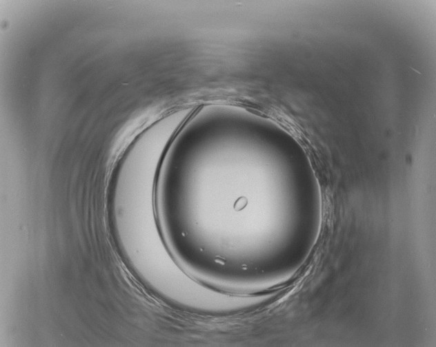 X0000060750293200511171129