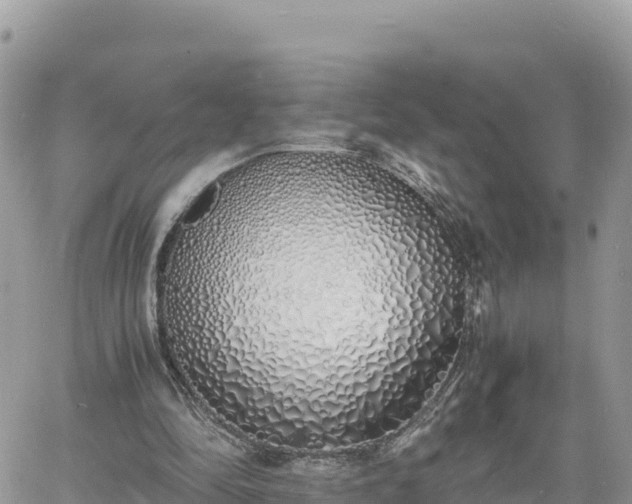 X0000060750294200511171129