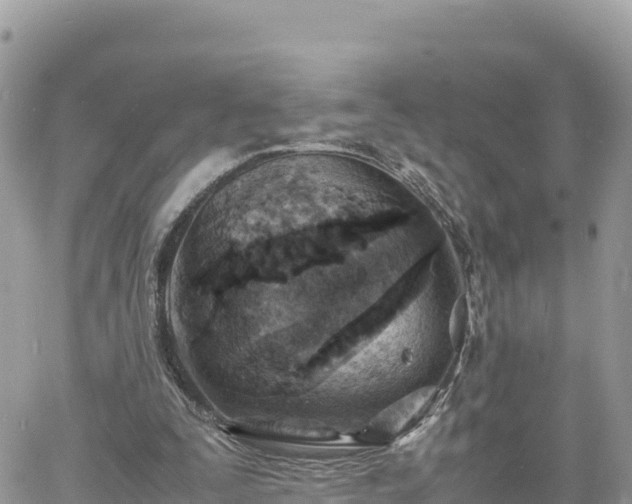 X0000060750295200511171129