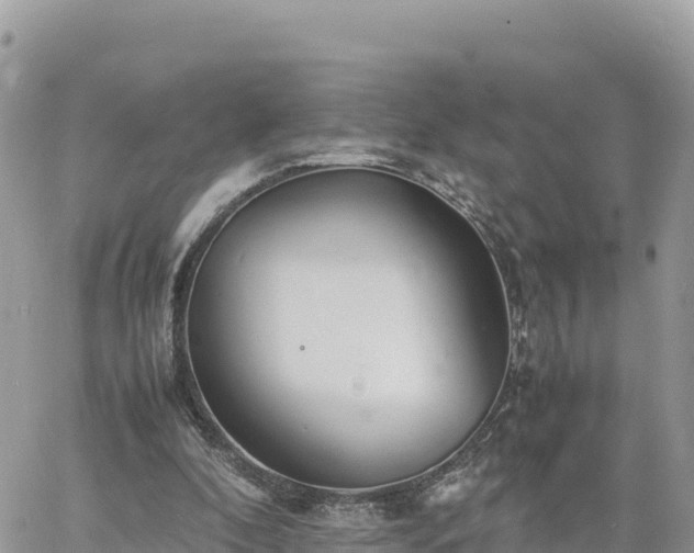 X0000060750296200511171129