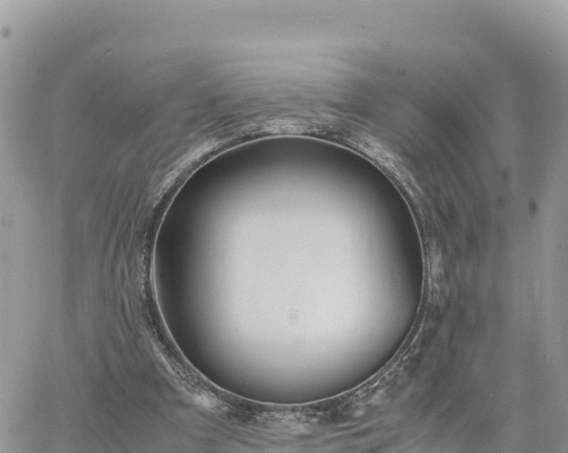 X0000060750297200511171129