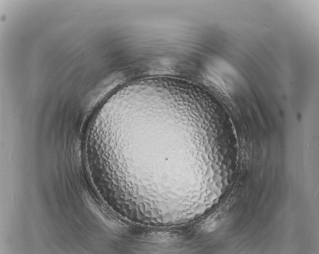 X0000060750298200511171129