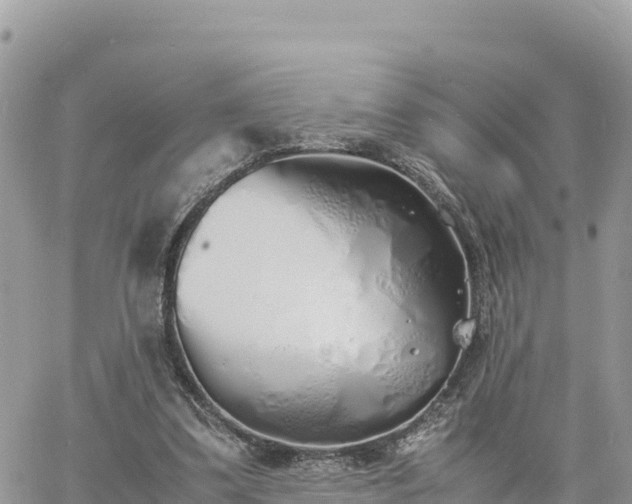 X0000060750299200511171129