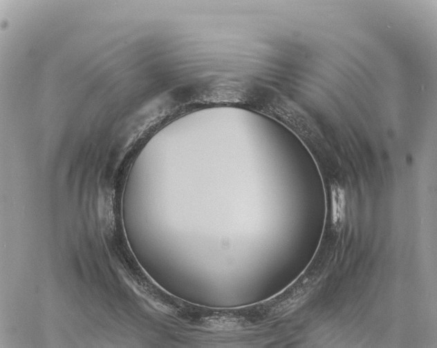 X0000060750300200511171129