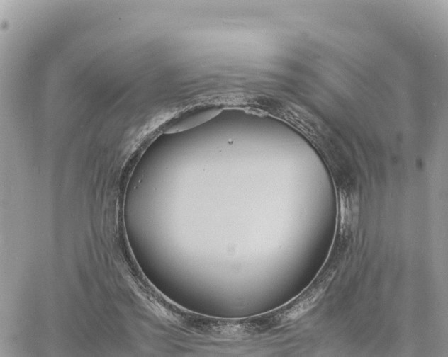 X0000060750301200511171129