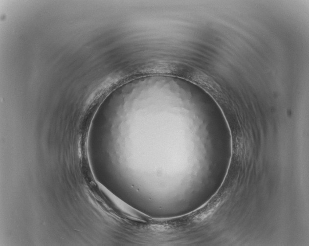 X0000060750302200511171129