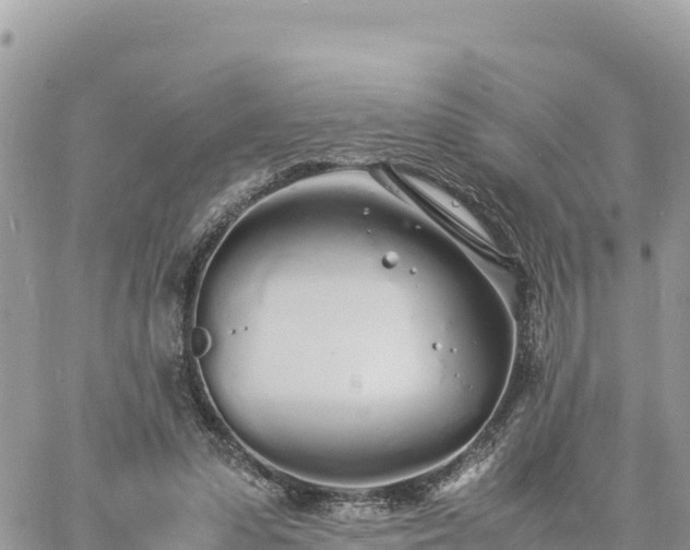 X0000060750303200511171129