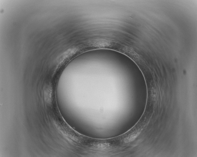 X0000060750304200511171129