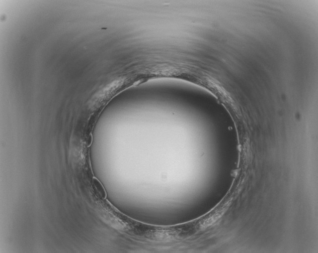 X0000060750305200511171129