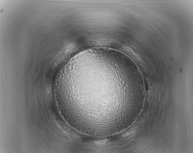 X0000060750306200511171129