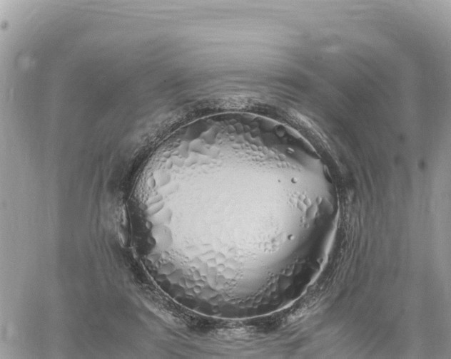 X0000060750307200511171129