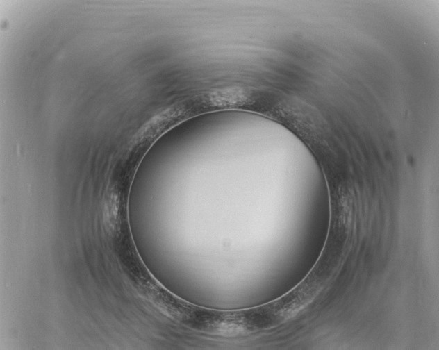 X0000060750308200511171129