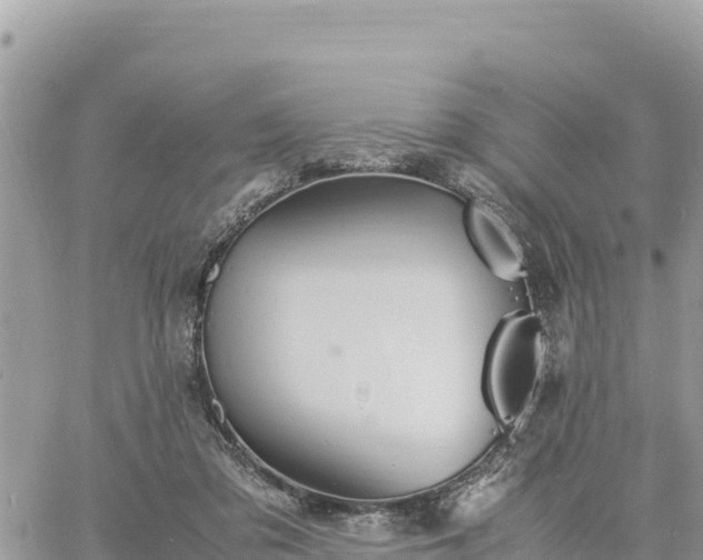 X0000060750309200511171129