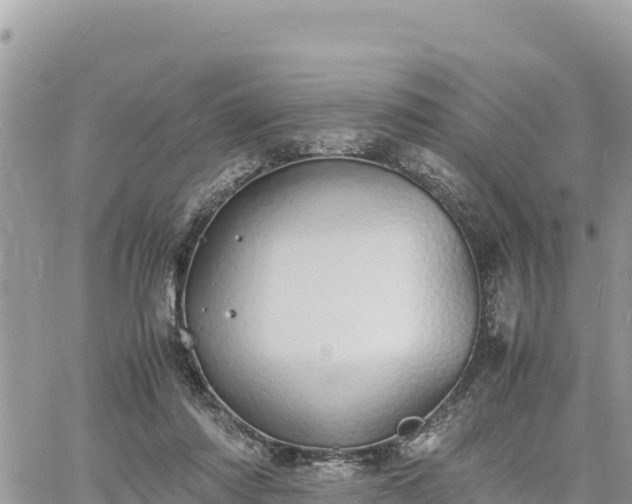 X0000060750310200511171129