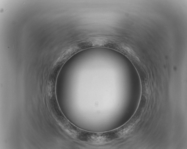 X0000060750311200511171129