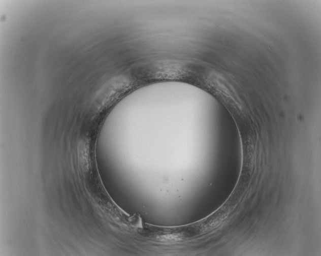 X0000060750312200511171129