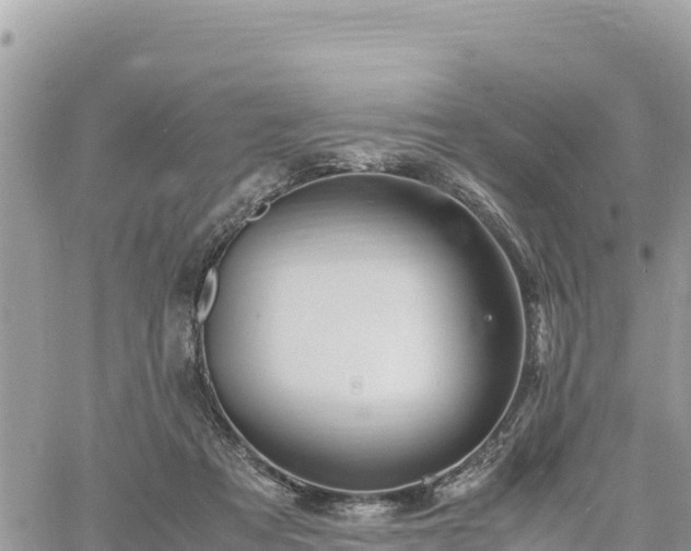 X0000060750313200511171129