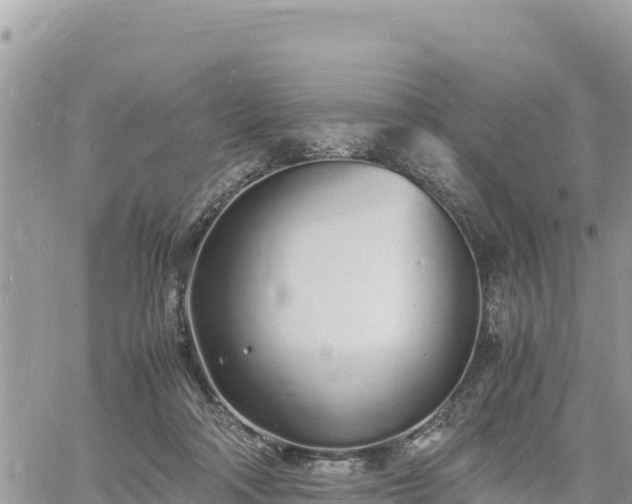 X0000060750314200511171129