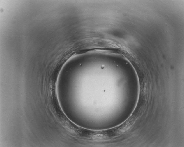 X0000060750315200511171129