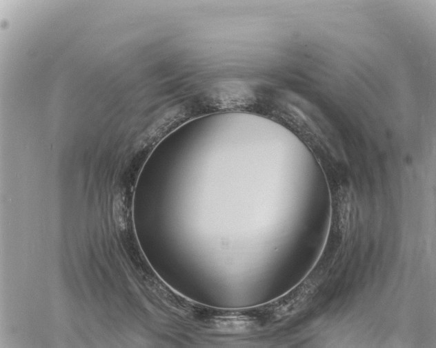 X0000060750316200511171129