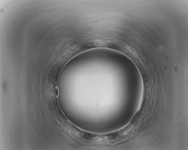 X0000060750317200511171129