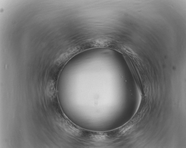 X0000060750318200511171129